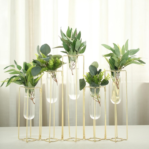 Set Of 5 Conjoined Gold Frame Test Tube Hydroponic Vases