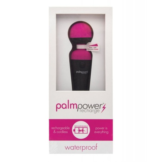Palm Power Rechargeable Massager