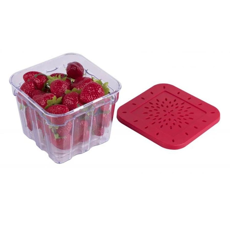 Harold Import Hic Berryfresh Produce Box 4" X 4"