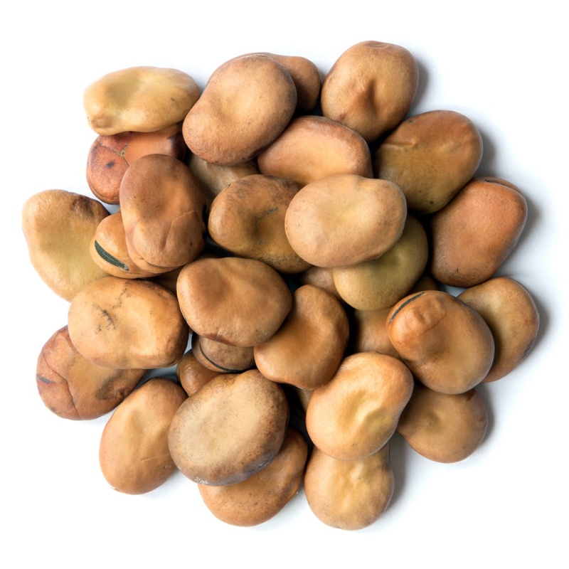 Organic Fava Beans