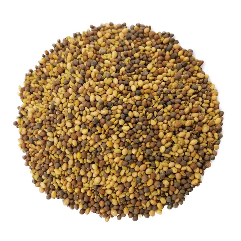 Organic Antioxidant Mix Of Sprouting Seeds