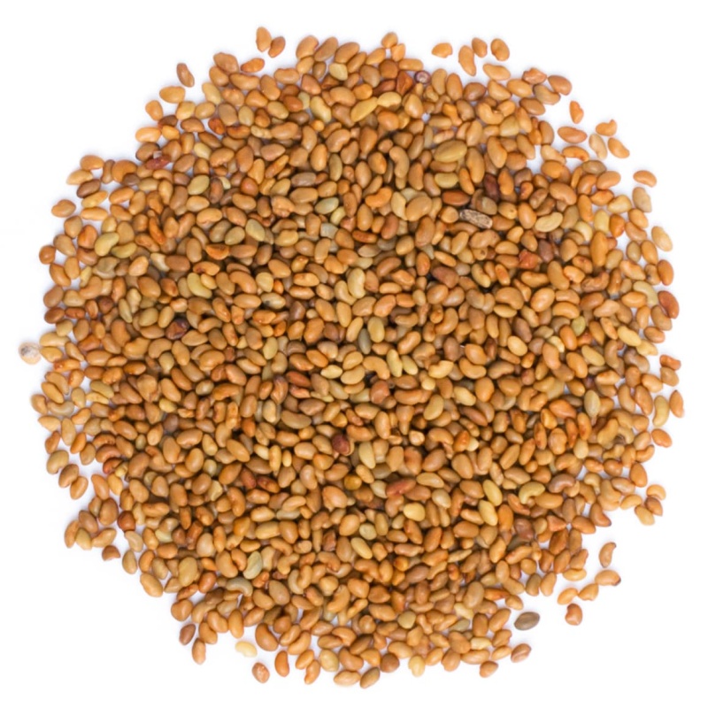 Organic Alfalfa Seeds For Sprouting
