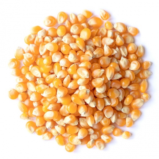Organic Yellow Popcorn - A Healthy Snack Alternative