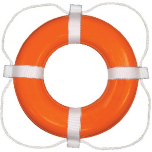 Taylor 20In Orange Foam Ring Buoy - Vinyl Coated Foam Life Ring for Water Safety