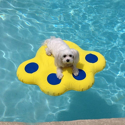 Dog Raft | Doggy Lazy Raft