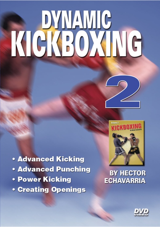 Dynamic Kickboxing - Hector Echavarria Champion Fight Techniques