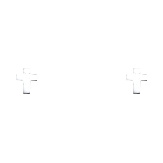 14K Gold Jesus Christ Cross Stud Earrings - Ioka