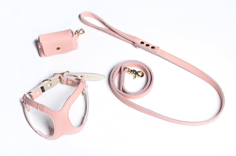Leather Dog Harness & Leash & Poop Bag Set By Fine Doggy - Pink