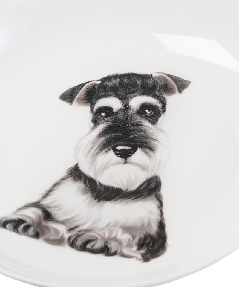 Pet Portrait Porcelain Middle Print 8" Plate Set - Schnauzer