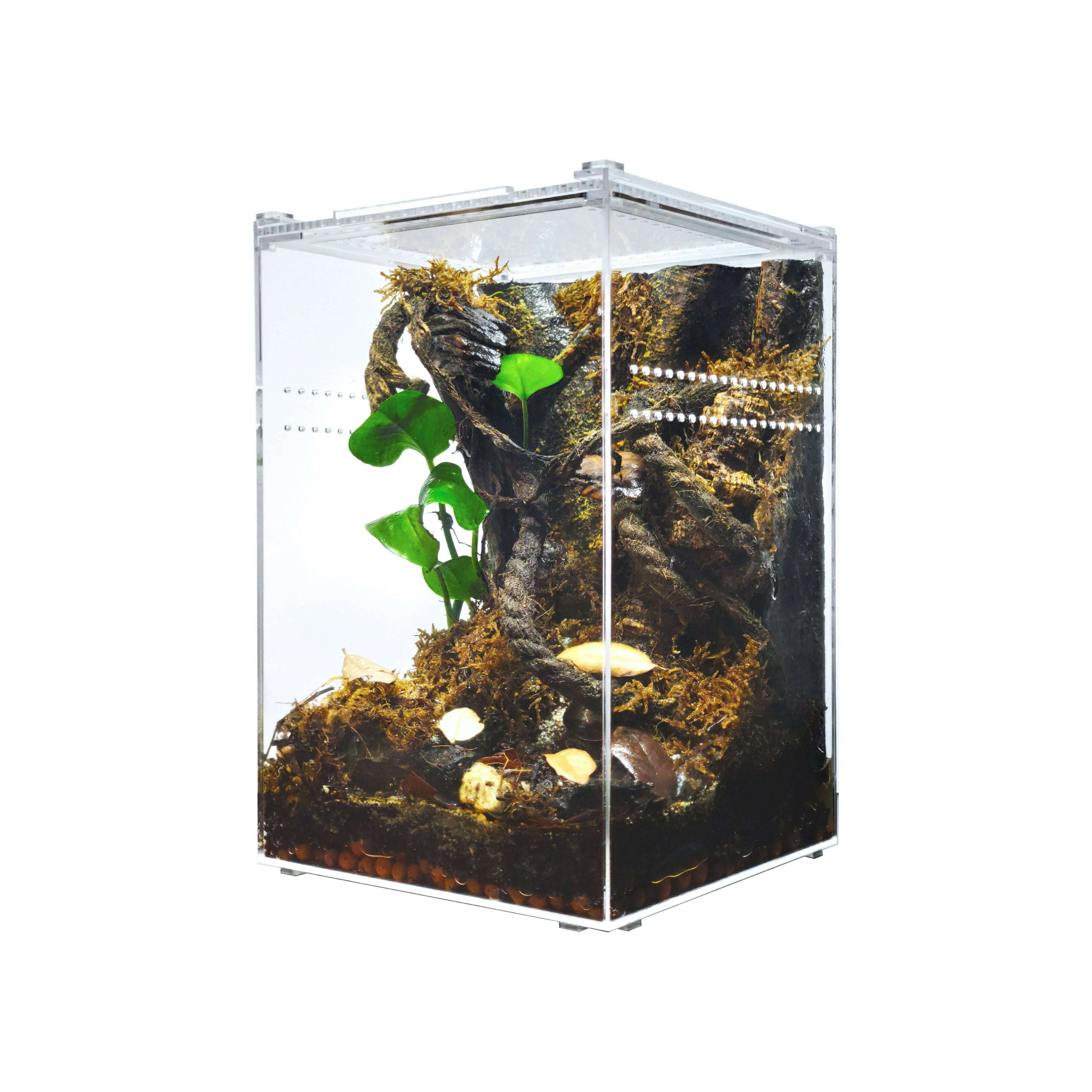 Herpcult Acrylic Reptile Enclosure Large Tall Clear Top 8" X 8" X 12"