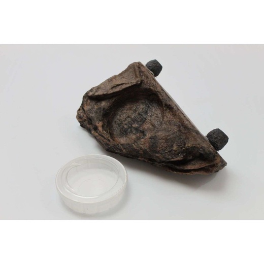 Magnaturals Magnetic Worm Feeder Ledge