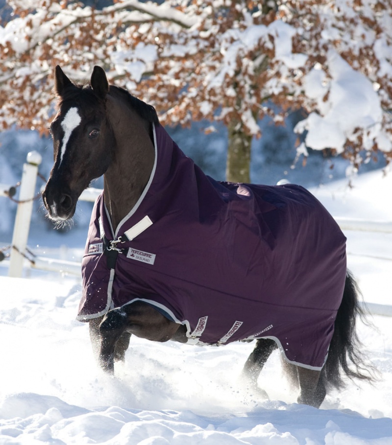 Rambo Wug 1000D Heavy Turnout Blanket 400G, Purple