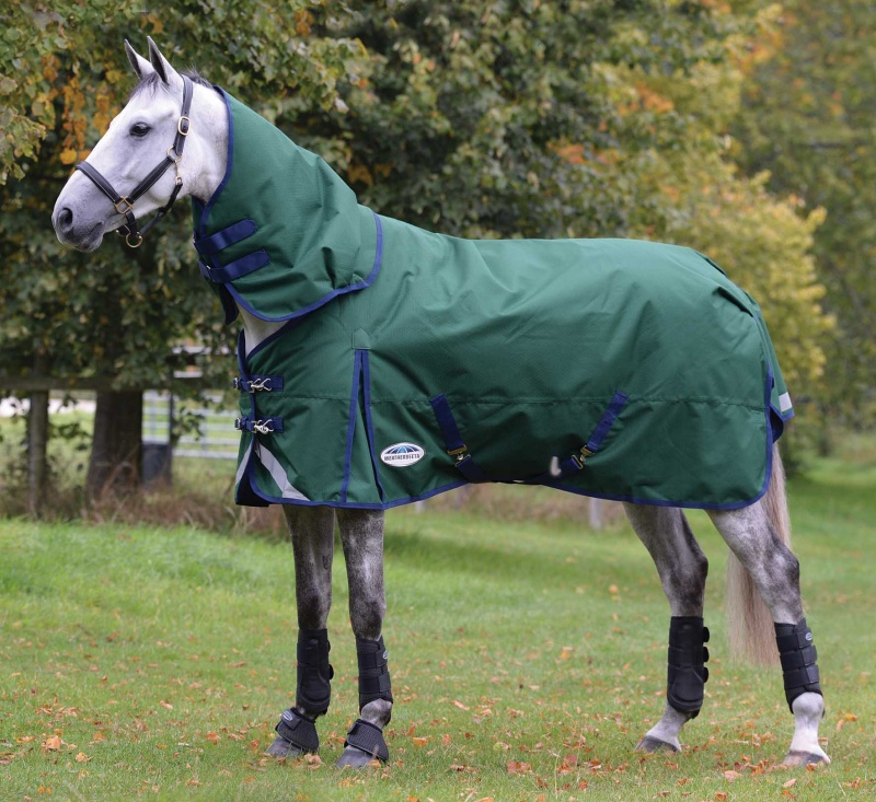 Comfitec Plus Dynamic Ii Detach A Neck Heavy Turnout Blanket