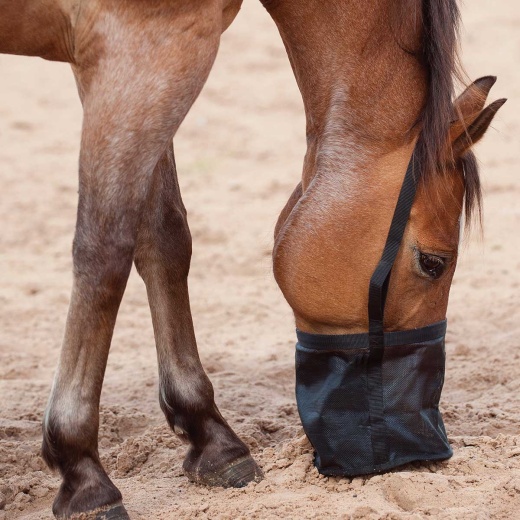 Feed Rite Horse Feed Bag Horse