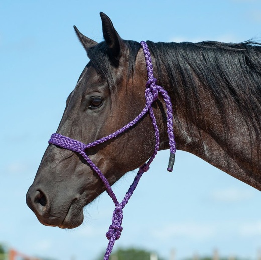 Braided Mule Tape Halter W/ 9' Lead by Cashel