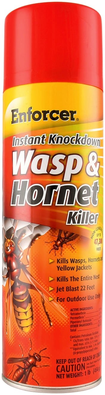 Enforcer Instant Knockdown Wasp & Hornet Killer, 16 Oz