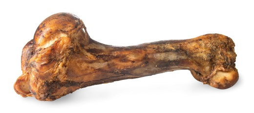 Chewmax Dino Beef Bone