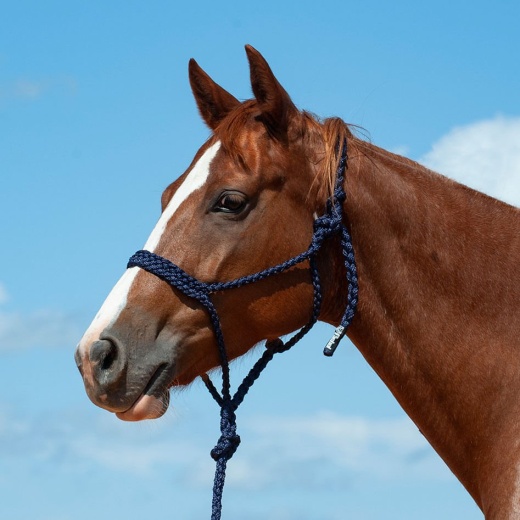 Braided Mule Tape Halter W/ 9' Lead by Cashel