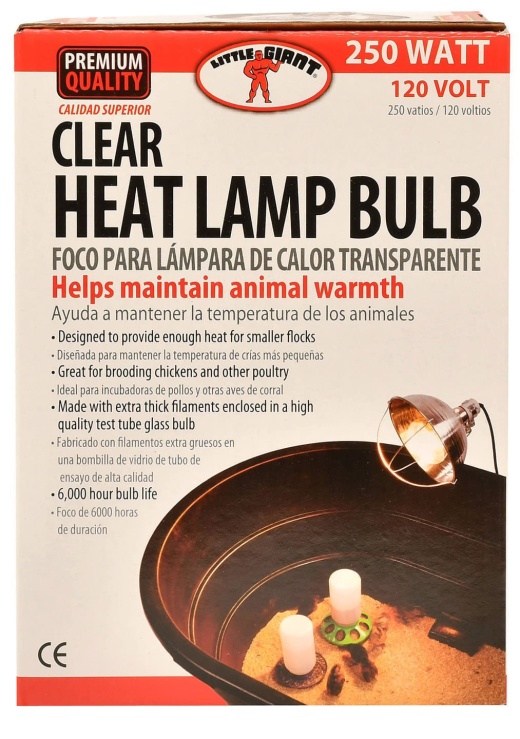 Little Giant 250 Watt Clear Heat Lamp Bulb