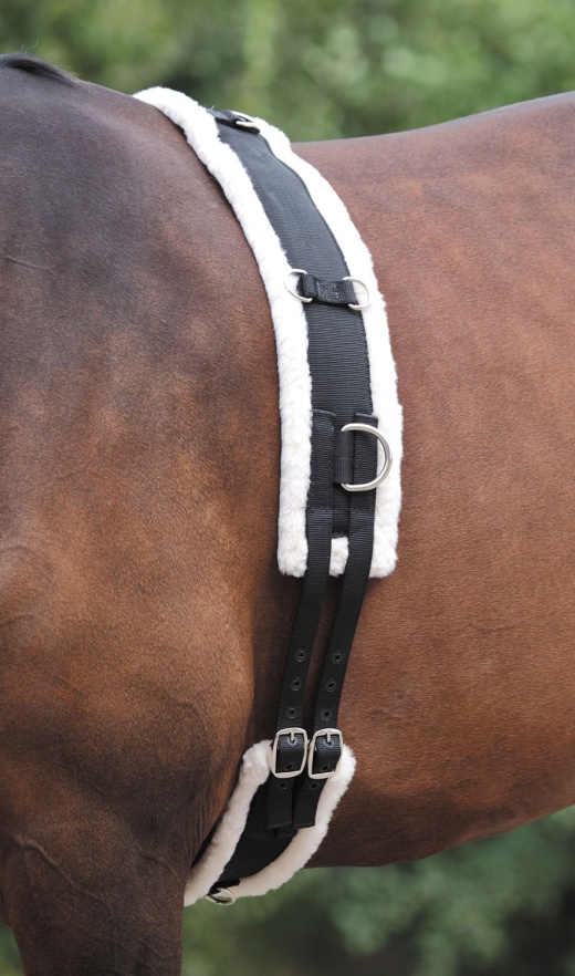 Nylon Lunging Surcingle with Fleece Padding for Dog Training