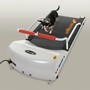 Petrun Toy Breed Treadmill (Pr700)