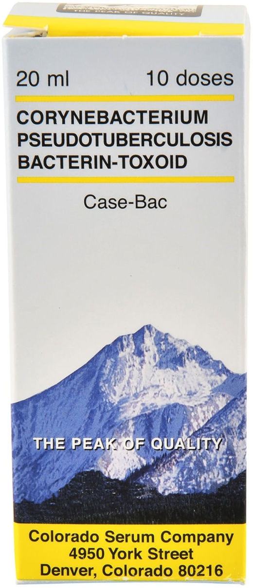 Case-Bac: The Ultimate Solution for Healthy Sheep