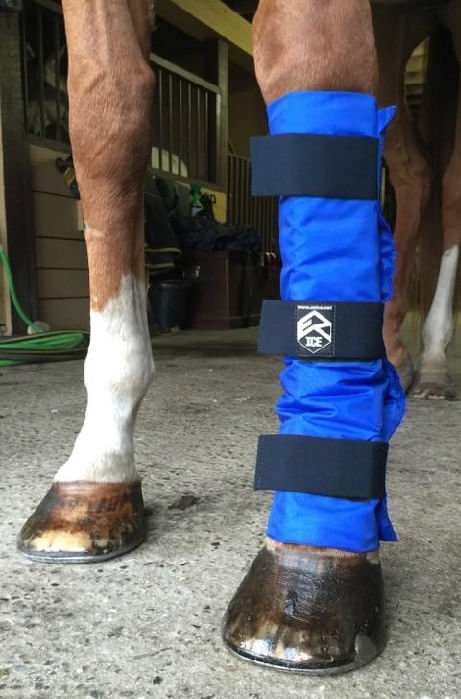 Ez Ice Universal Leg Wrap