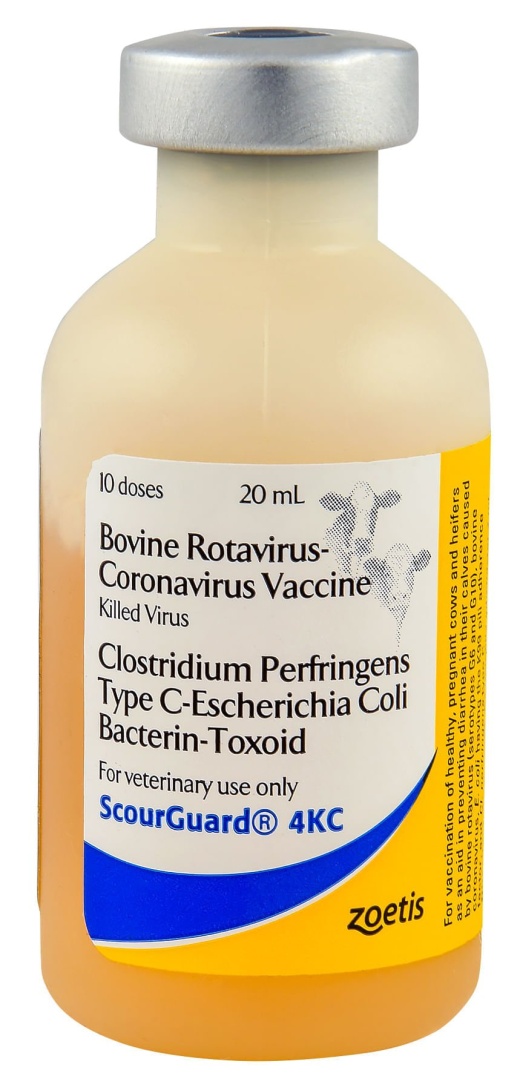 Scourguard 4KC - Bovine Rota-Coronavirus (KV) & E. coli Vaccine