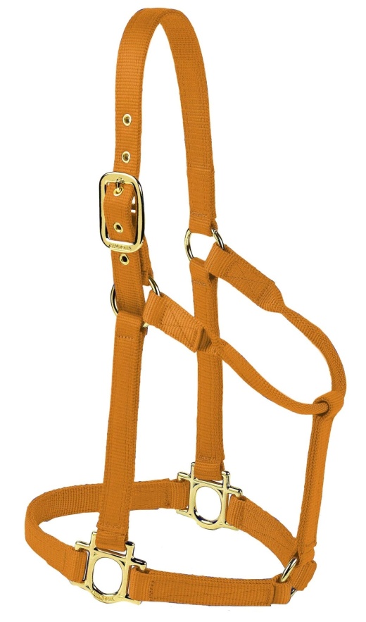 Valhoma Premium Nylon Horse Halter