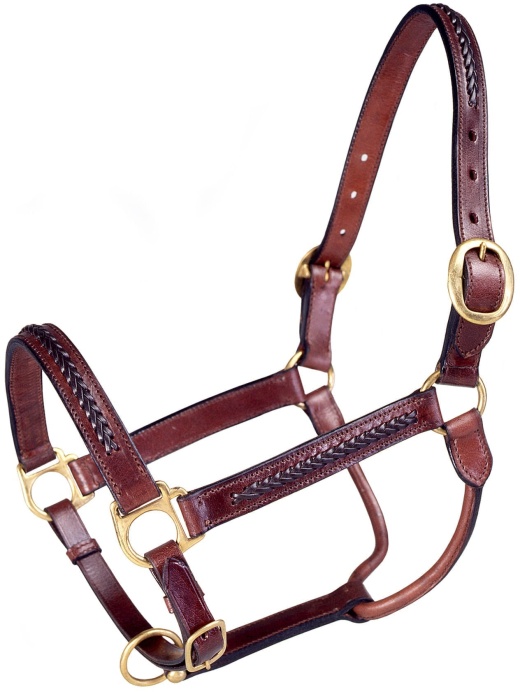 Royal King Braided Leather Halter