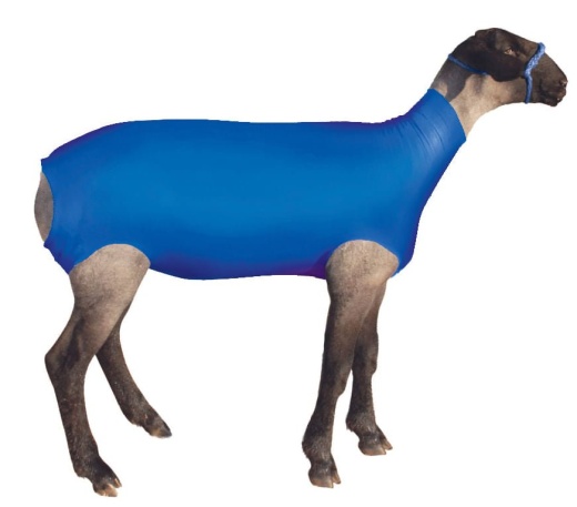 ShowPro Spandex Lamb Tube for Horse Riding