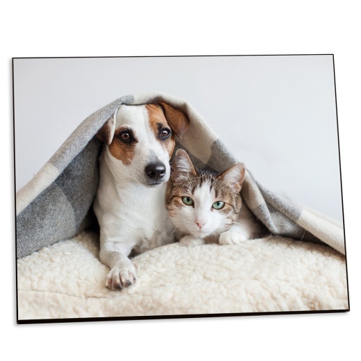Unisub Chromaluxe White Textured Hardboard Photo Panel
