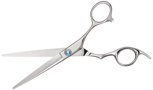 Barber Shears
