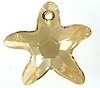 20Mm Starfish Pendant Golden Shadow