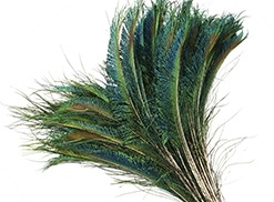 Peacock Swords - Natural- 12"-20"