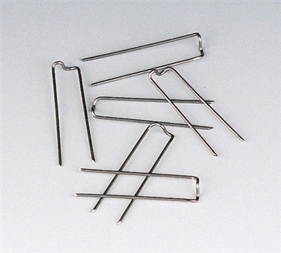 Fern Pins, Greening Pins - Revolutionize Your Indoor Gardening