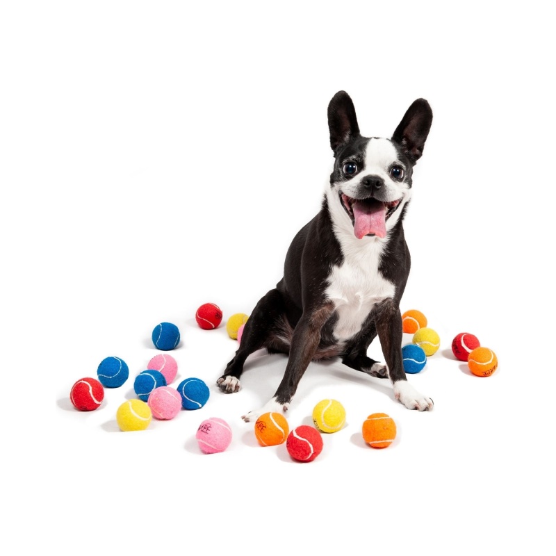 Midlee Mini Dog Tennis Balls Assorted Colors With Squeaker 25 Pack