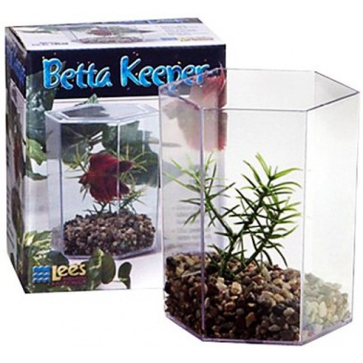Lees Betta Keeper Hex Aquarium Kit 24 Oz