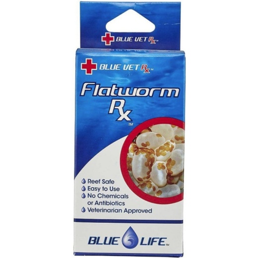 Blue Life Flatworm Rx - The Ultimate Flatworm Treatment for Aquarium Fish