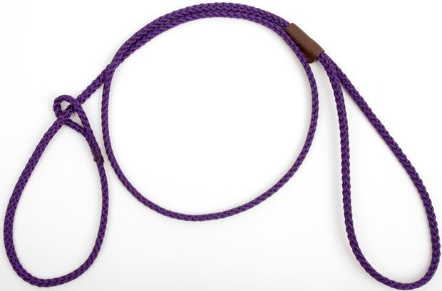 Mendota Show Loop Leash - Purple