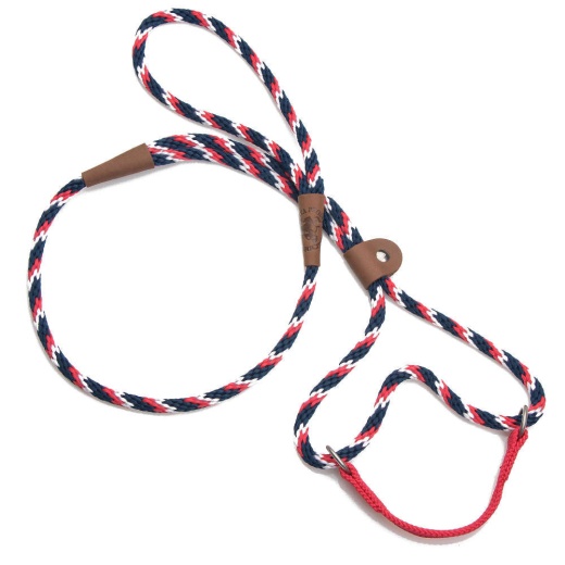 Mendota Dog Walker - Small 3/8 Inch - Black / 6 Feet