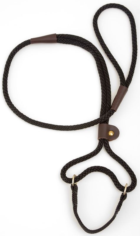Mendota Dog Walker - Small 3/8 Inch - Black / 4 Feet
