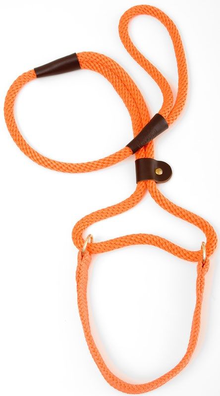 Mendota Dog Walker - Large 1/2 Inch - Orange / 4 Feet