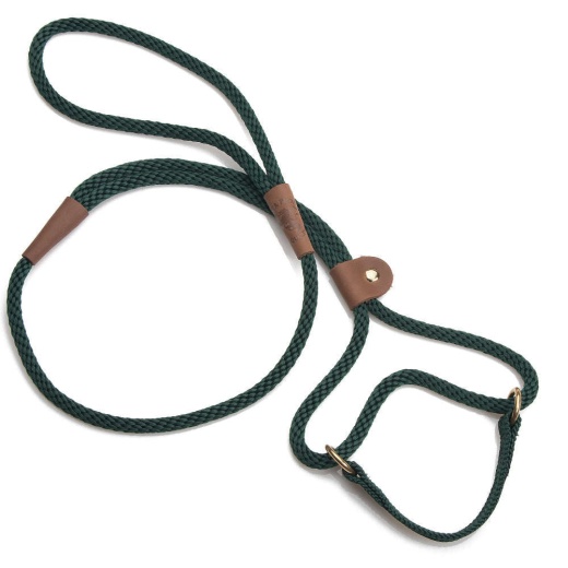 Mendota Dog Walker - Small 3/8 Inch - Orange / 6 Feet