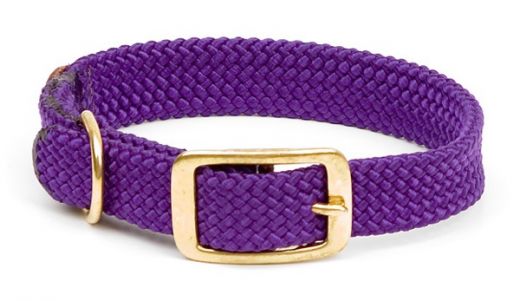Mendota Double Braid Collar - Brass - Purple / 1" X 18"