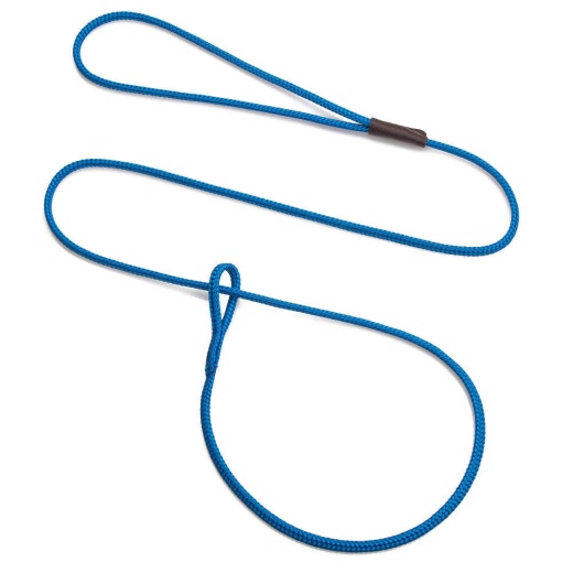 Mendota Show Loop Leash - Blue