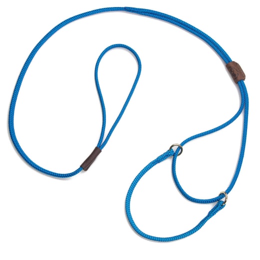 Mendota Show Martingale Leash - Raspberry / 12 Inch