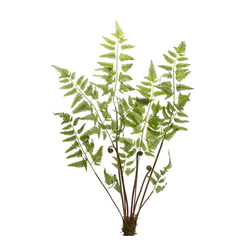 Fern Bundle (Set of 6) 37”H Polyester