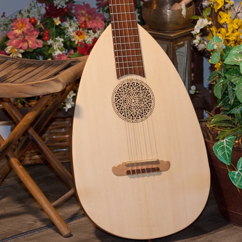 Roosebeck LuteGuitar, 6 String, Variegated, Gears