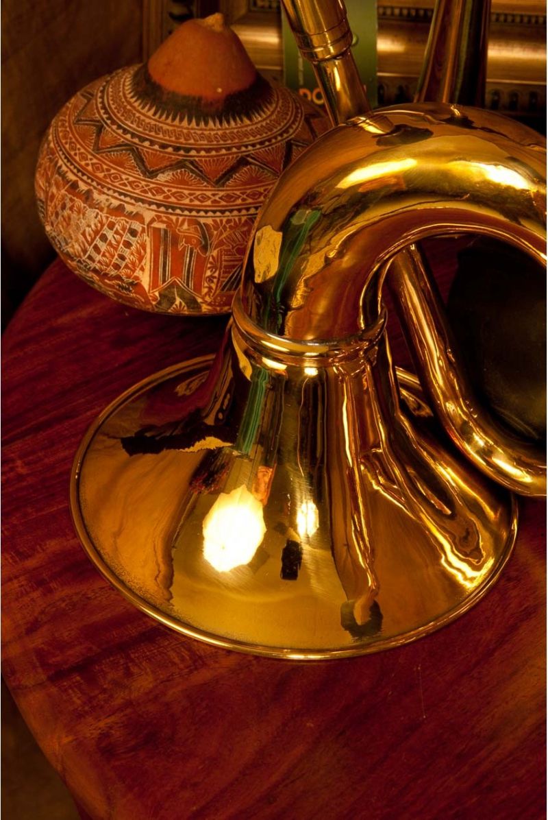 Dobani Large Oval Bulb Horn 6.5-Inch-Bell